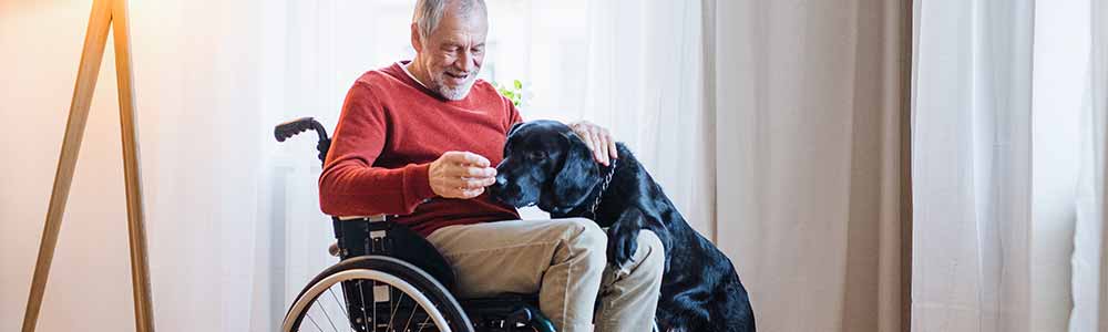 What do dual health plans offer?